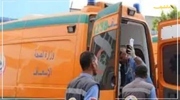 5 مصابين دفعة واحدة.. تصادم عنيف بين ملاكي وموتوسيكل على الطريق الزراعي بالقليوبية 1